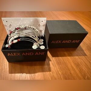 Alex and Ani set of 5 winter Bracelets